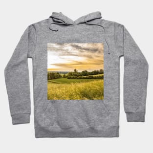 SCENERY 23 - Meadow Grass Field Park Nature Hoodie